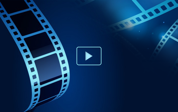 Phòng chống dịch bệnh sốt xuất huyết